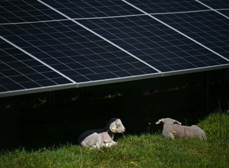 Nach EU-Ermittlung: Chinesische Solarhersteller ziehen Angebote zurck