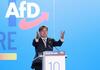 Insa: AfD verliert in Europawahl-Umfrage